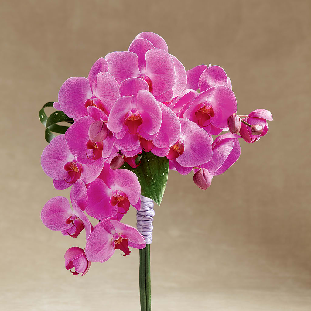 Glorious Bouquet – One Of A Kind Designs, Bakersfield CA
