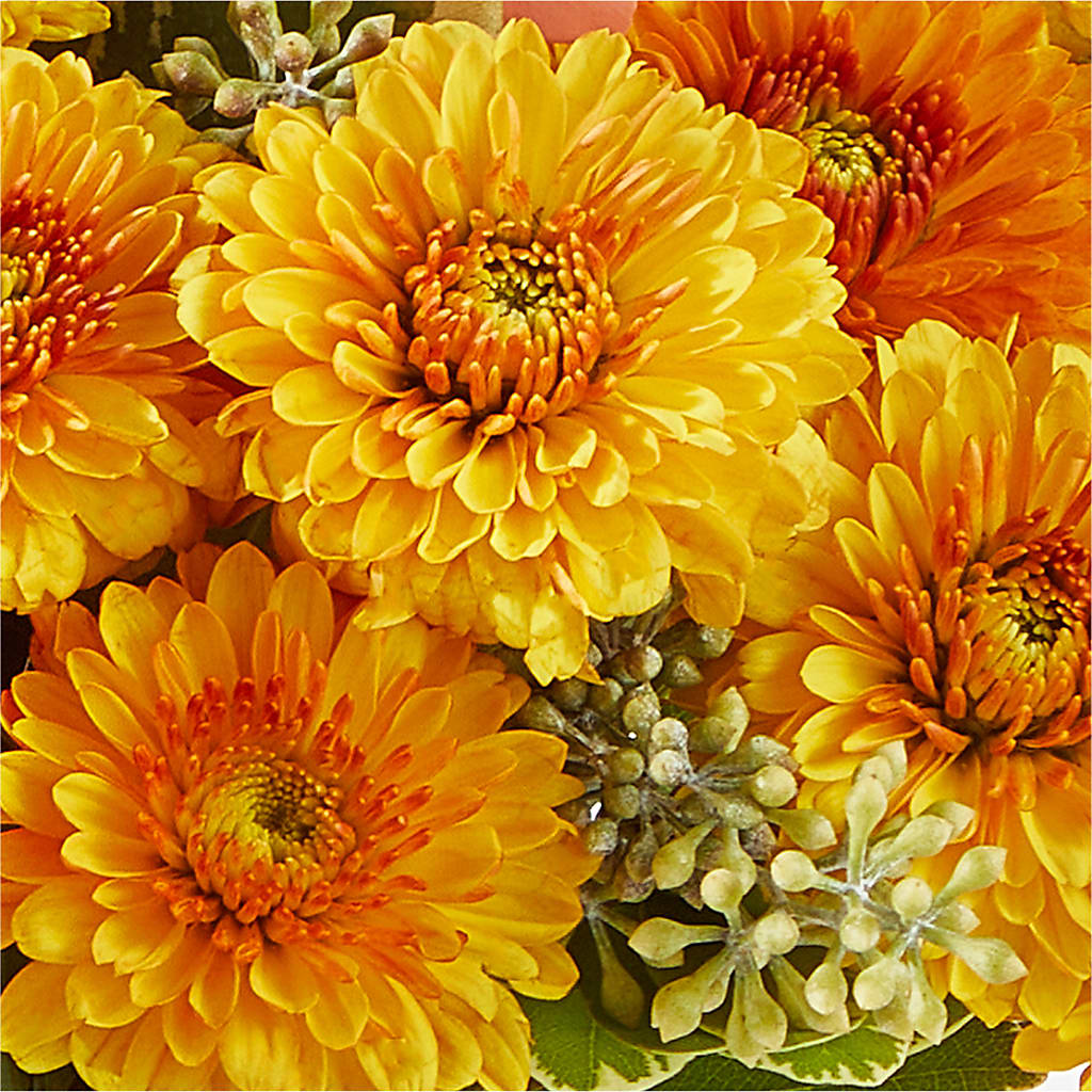Peachy Pumpkin –  One Of A Kind Designs, Bakersfield CA